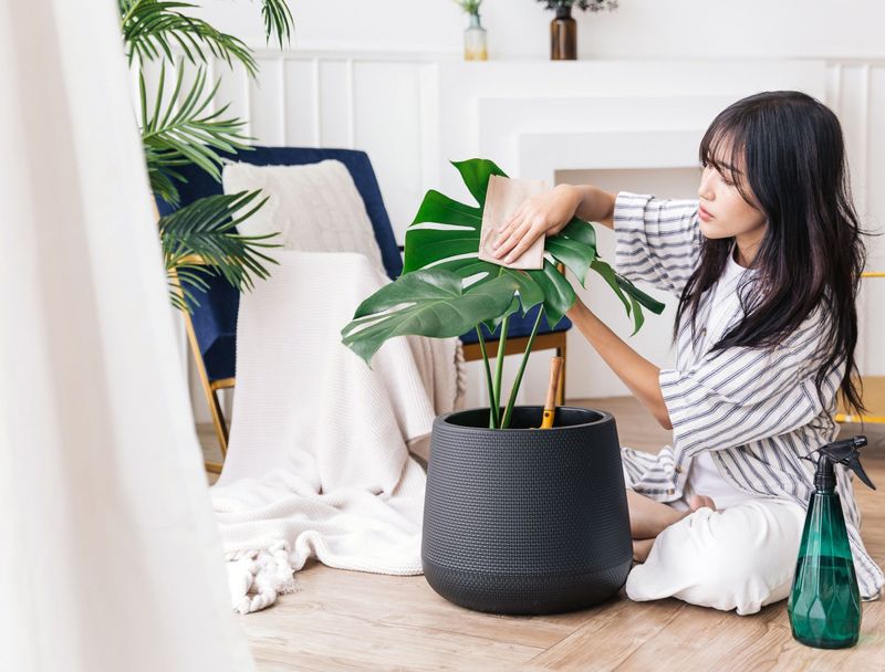 Indoor Transition: The Pre-Fall Inspection Ritual