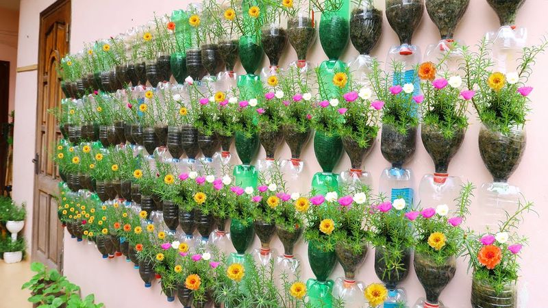 Hanging Bottle Garden