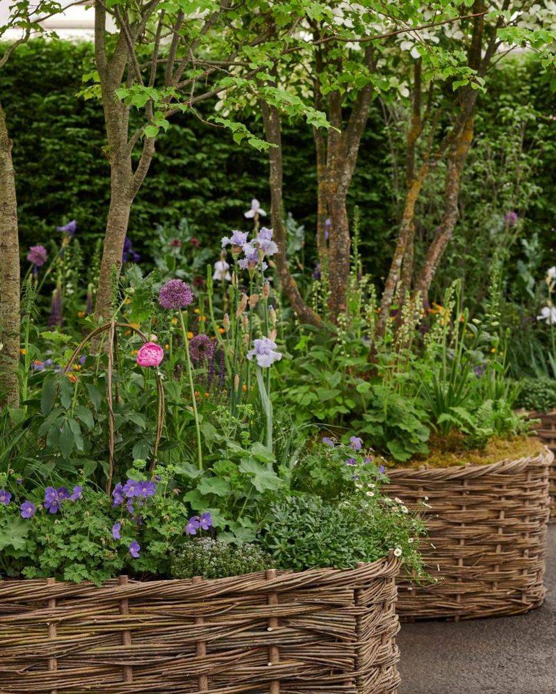 Woven Willow Wonders