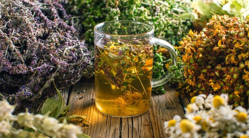Herbal Companion Plant Brews