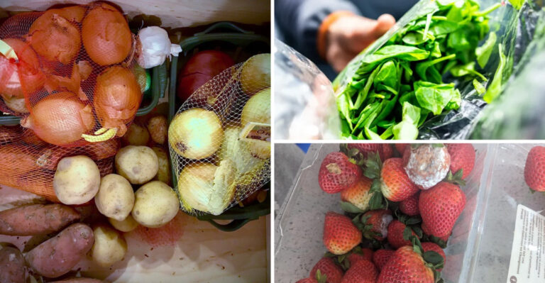 Stop Storing These 20 Crops Before They Become Health Hazards