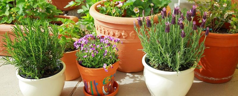 Choose the Right Container