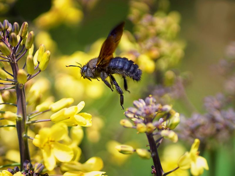 Neglecting Paint Maintenance