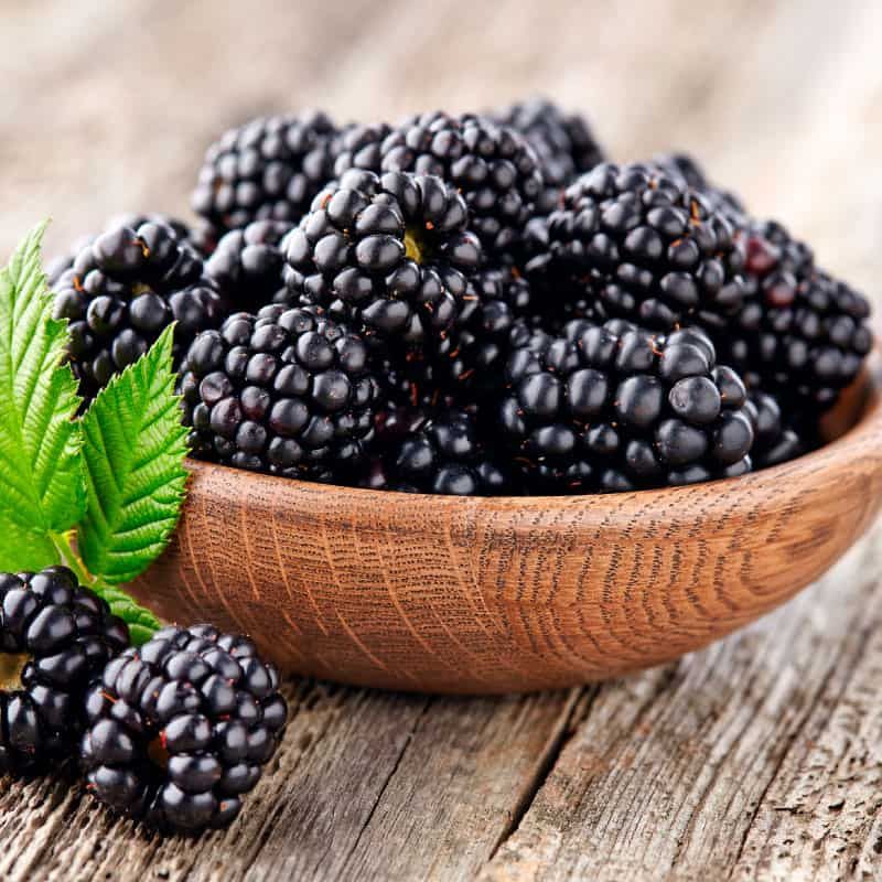 Blackberries