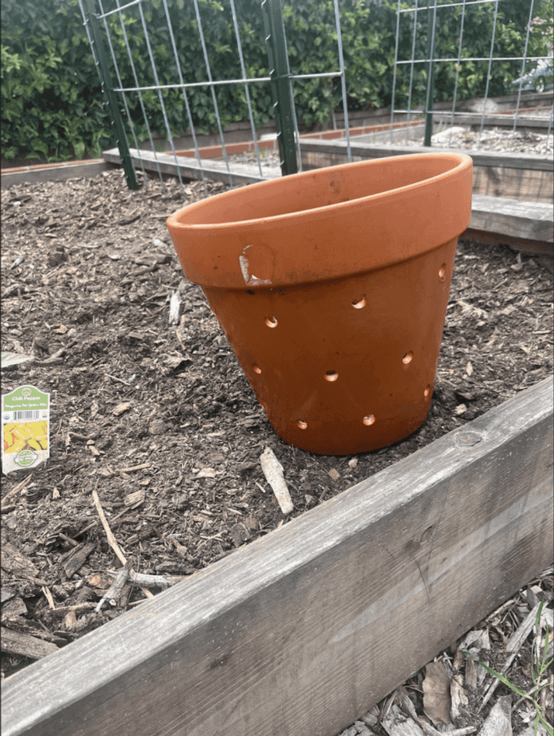 Eco-Friendly Compost Bins