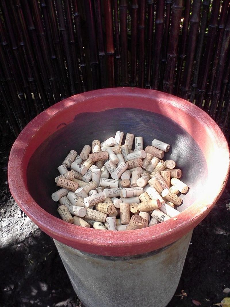 Wine Corks