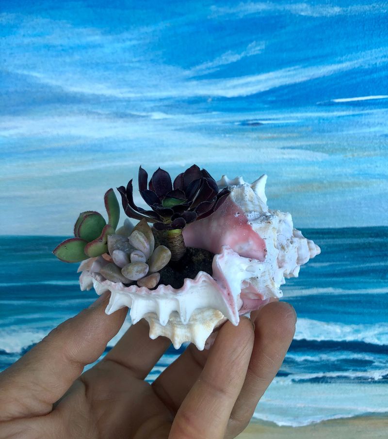 Seaside Shell Planter