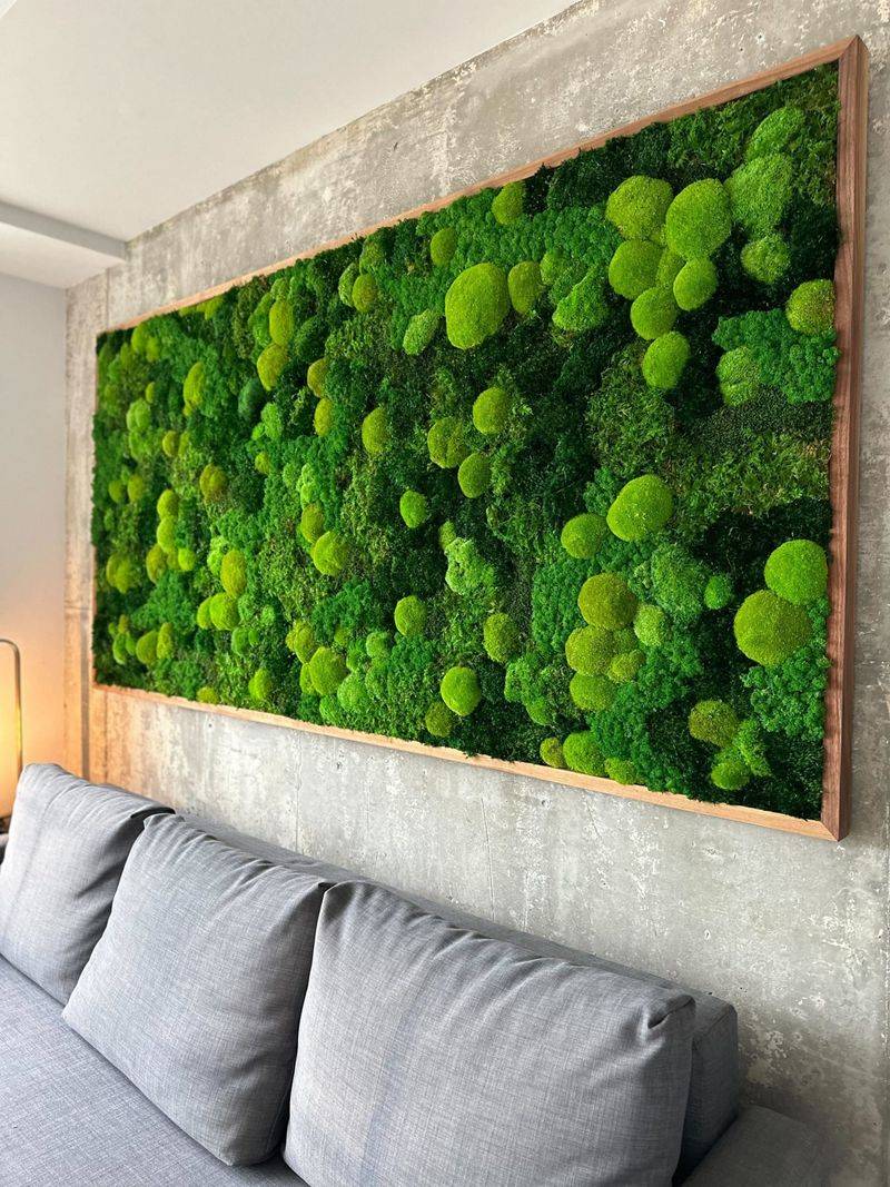 Moss Walls (Preserved or Live)