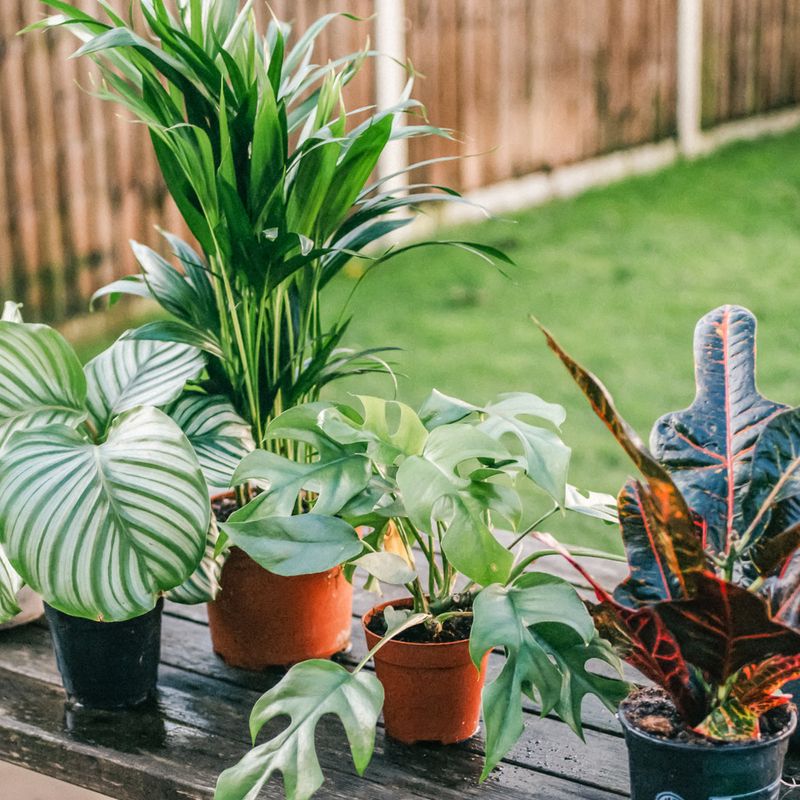 Temperature Matters: The 55°F Rule