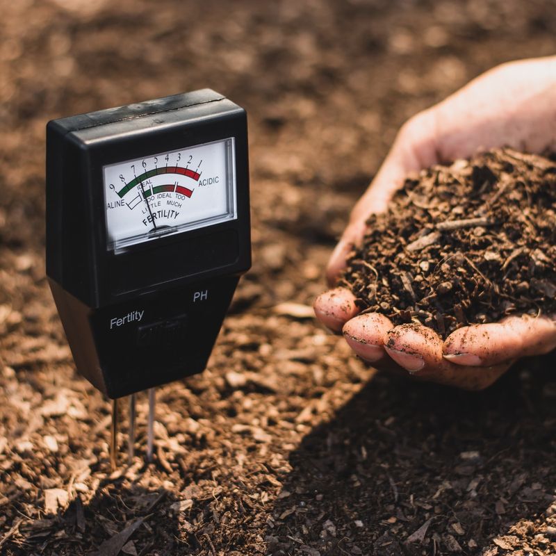 Soil Health Is Crucial