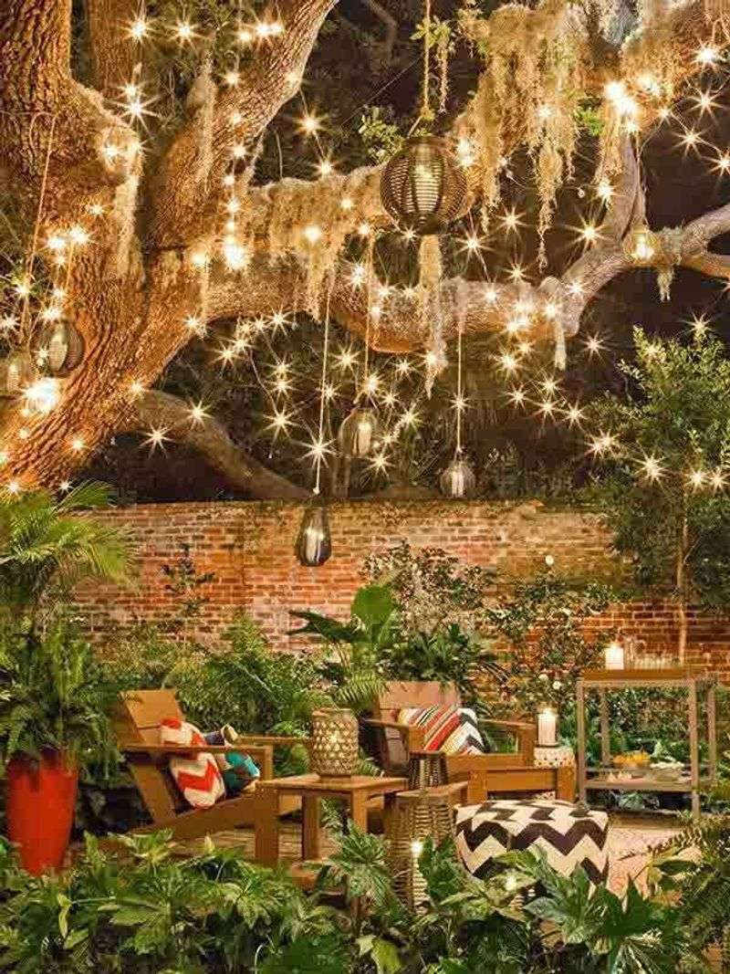 Fairy Light Gardens