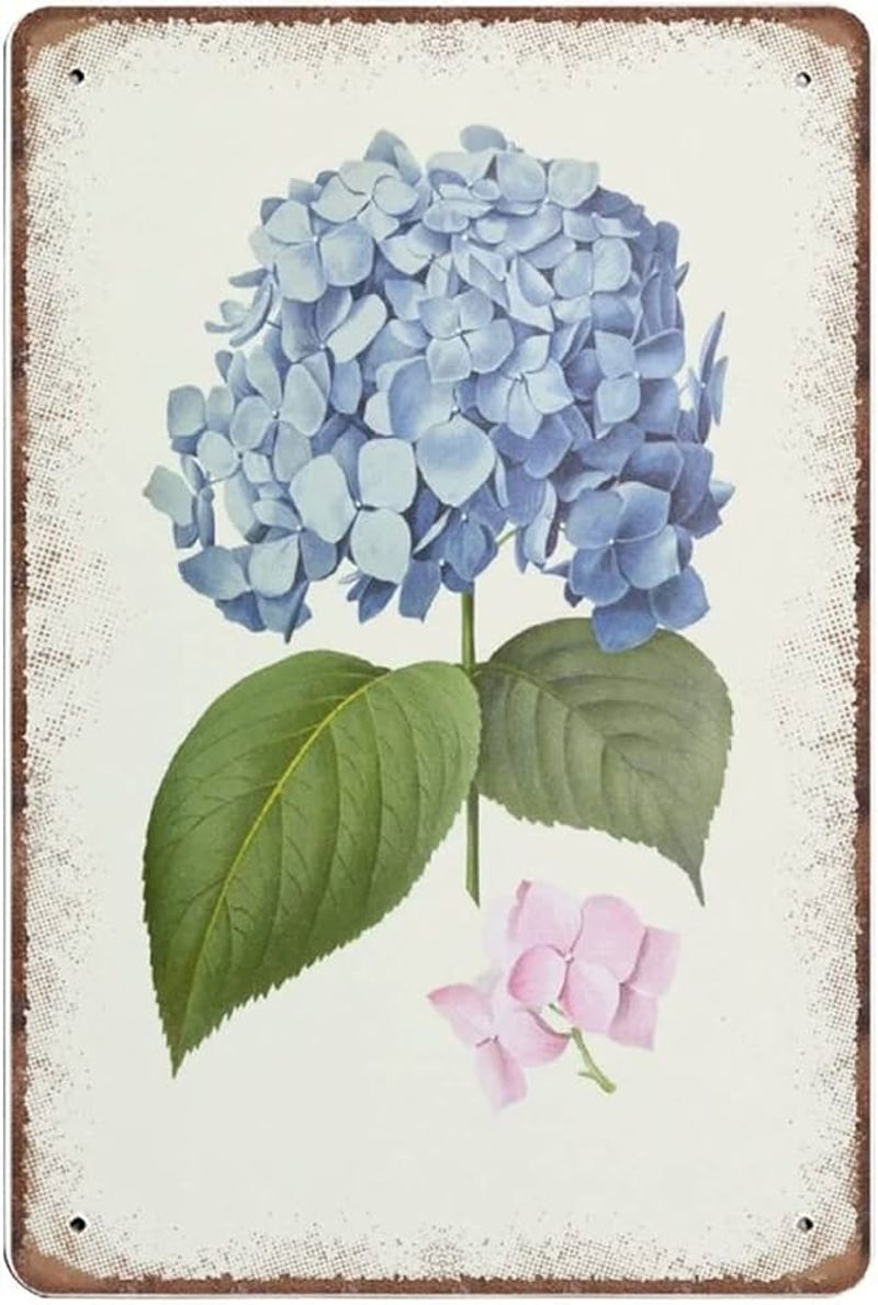 Vintage Botanical Prints