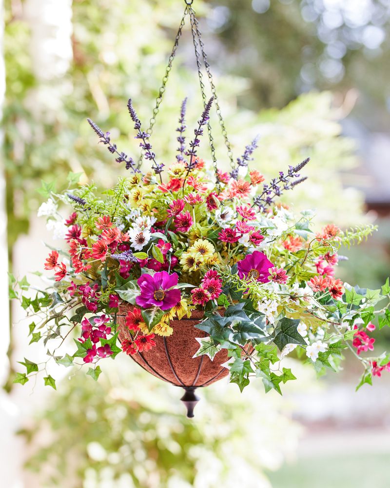 Hanging Basket Oasis