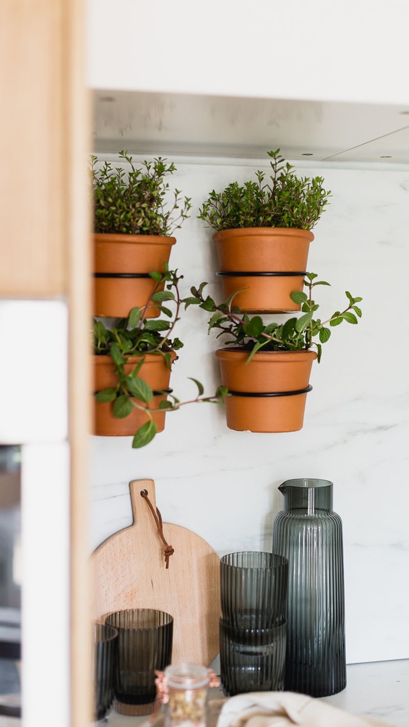 Wall-Mounted Planter