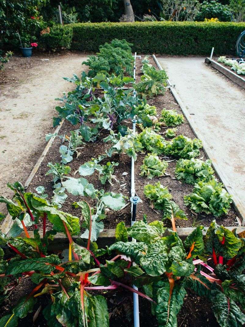 The Root Depth Illusion