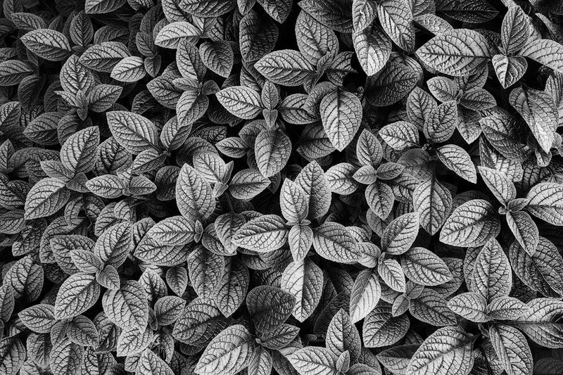 The Forgotten Patterns