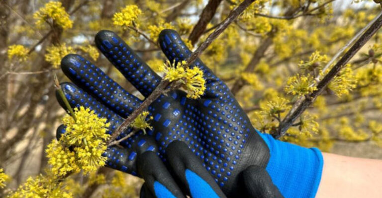 The Hidden Truth About Garden Gloves Nobody Talks About — What Happened to My Hands