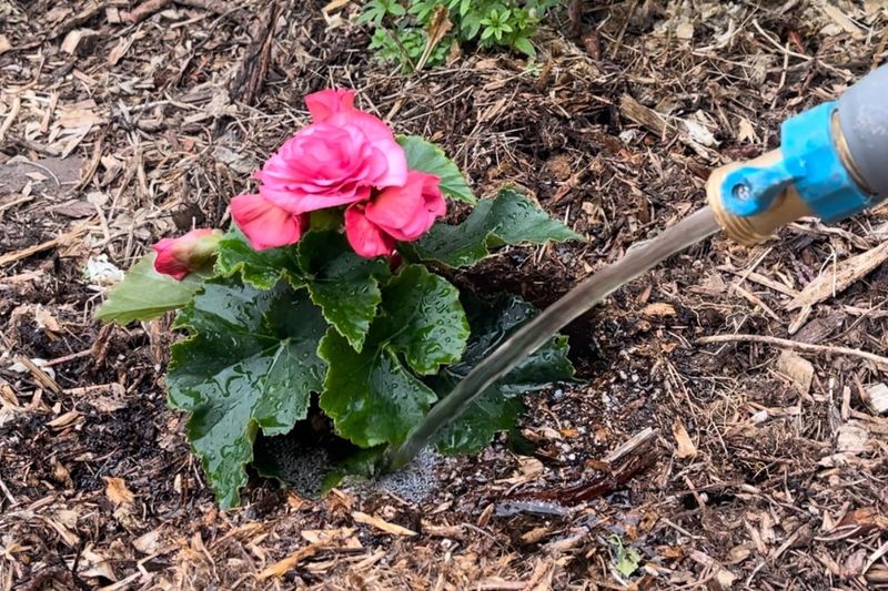 Water's Gentle Embrace