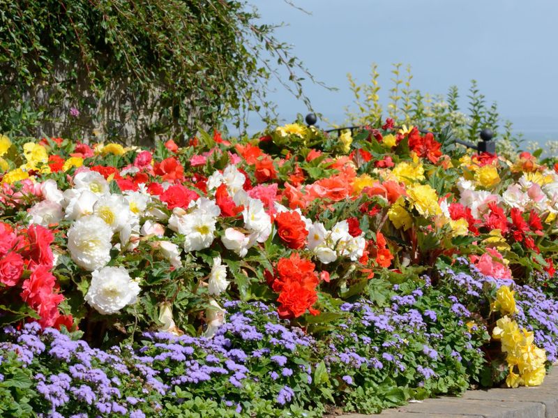 The Unexpected Color Parade