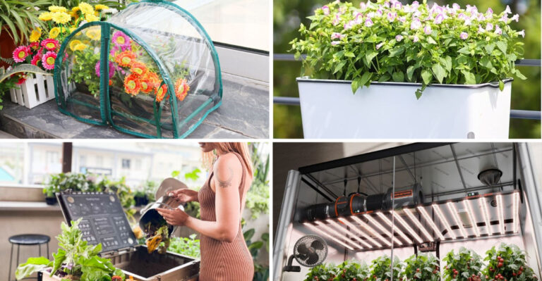 The Ultimate Balcony Greenhouse Setup