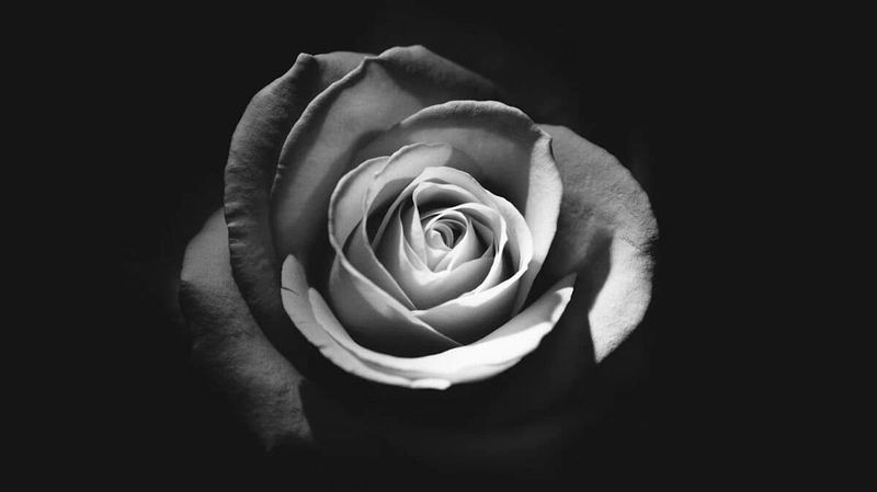 The Contrast of Seasons