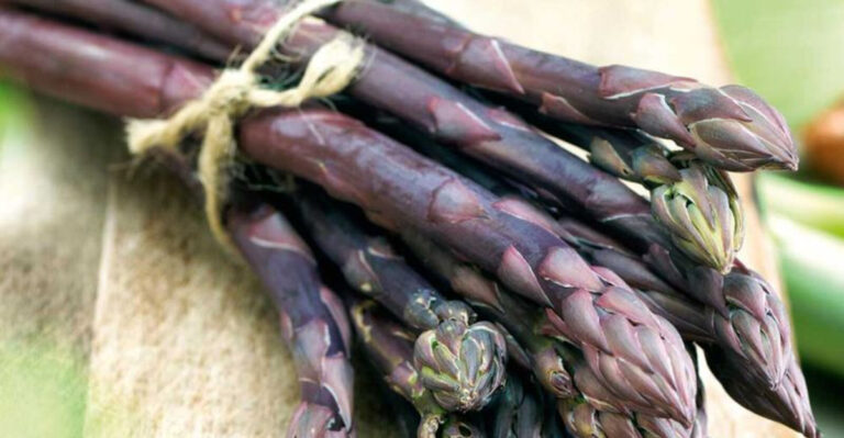 These 13 Asparagus Varieties Share One Thing — They Produce for 30+ Years