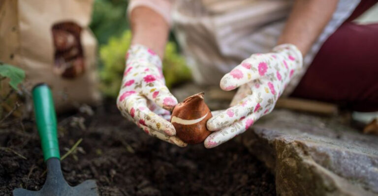 These 13 Garden Jobs Take Minutes – But Make You Look Like an Expert