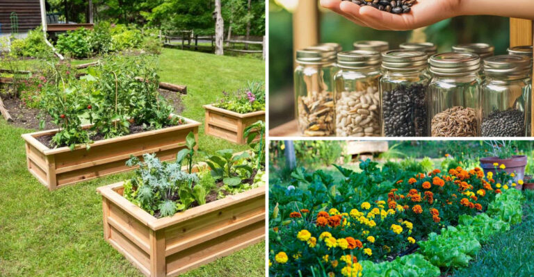 These 15 Amish Growing Methods Share One Thing — Zero Chemicals — Massive Results