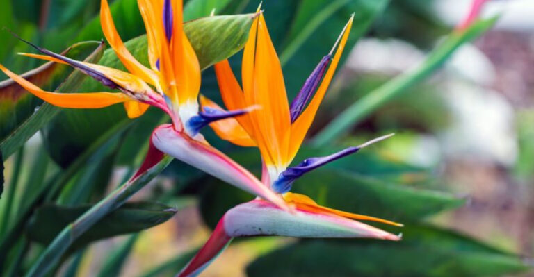 These 15 Container Gardens Share One Secret – Maximum Color Impact