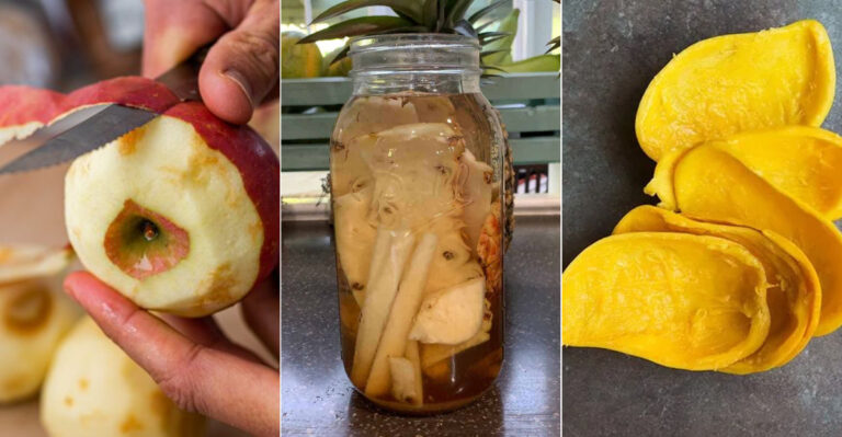 These 17 Fruit Peels Turn Into Garden Gold Plus 11 More Plant Feeding Secrets