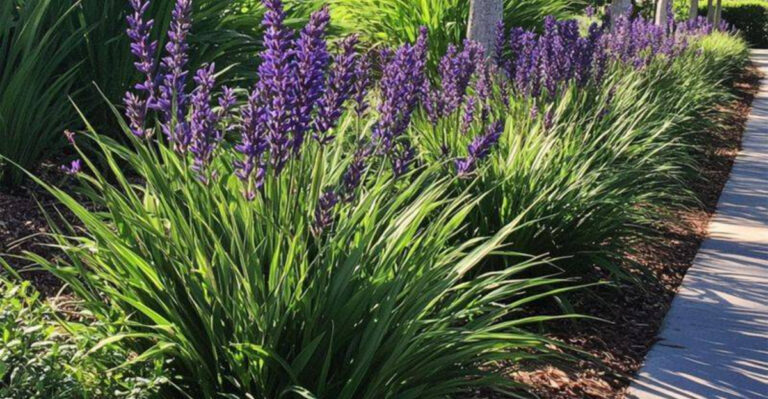 These 19 Garden Edging Solutions Stop Grass Dead – Landscapers’ Secret Methods