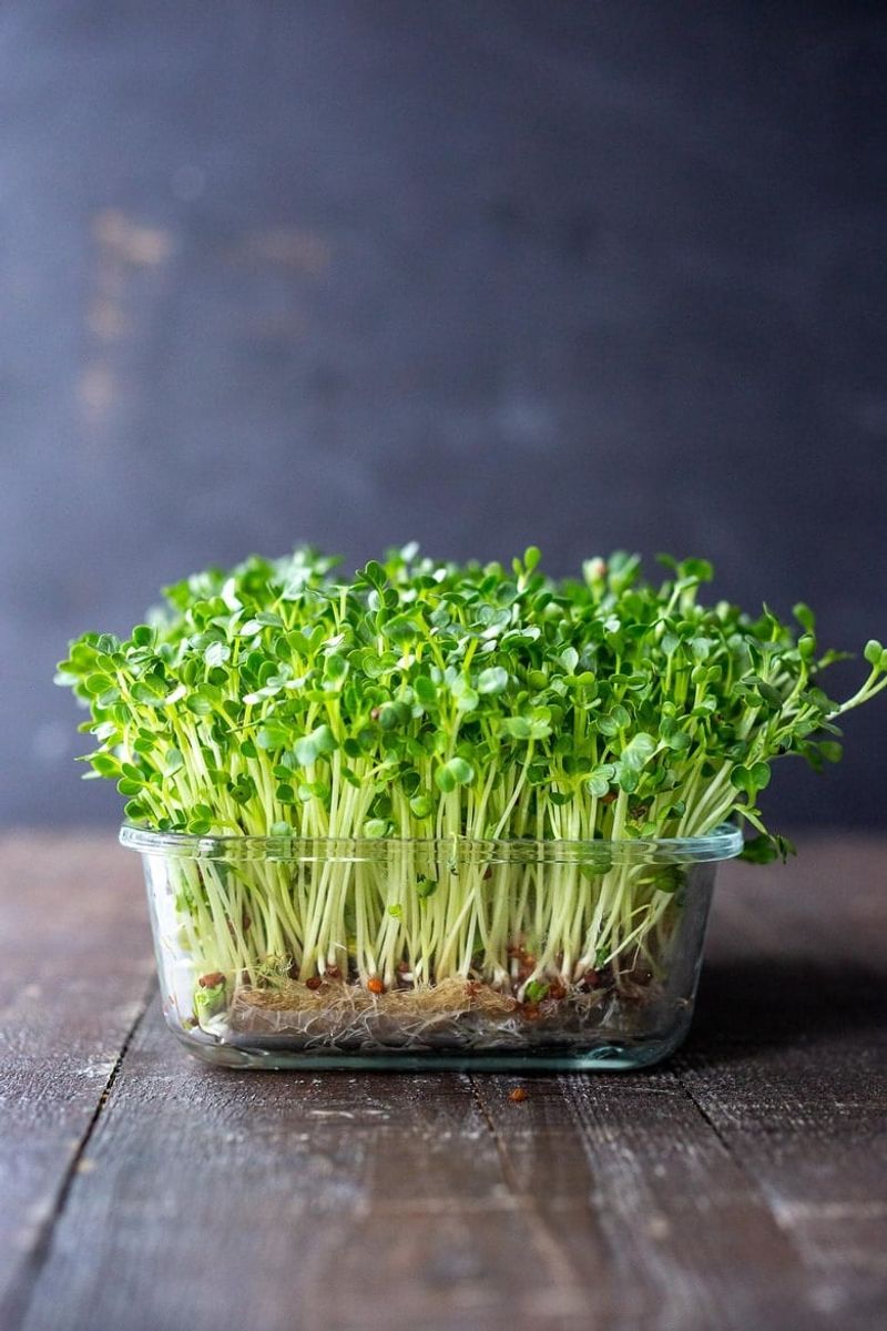 Microgreens