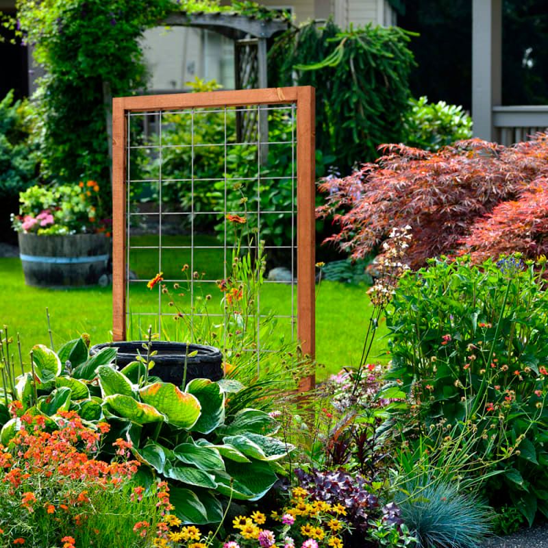 Hockey Stick or Racket Trellis