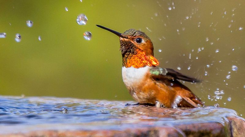 Lack of Water Sources