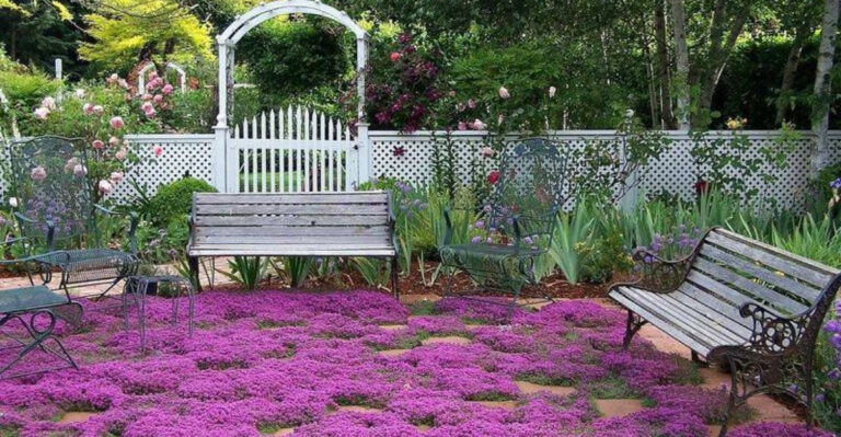Transform Your Space with These 11 Dynamic No-Mow June Alternatives