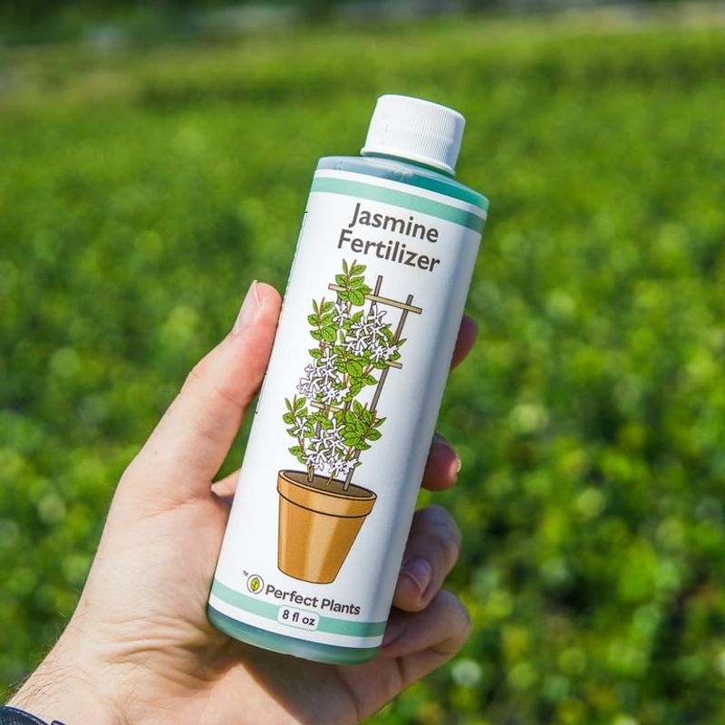 Use a Bloom Booster Fertilizer