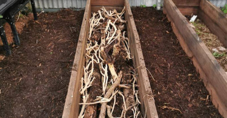 Turn Tree Trimmings Into Raised Beds With This Method