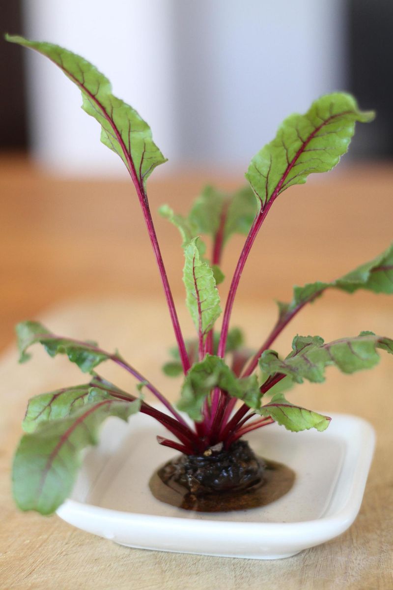 Beet Greens