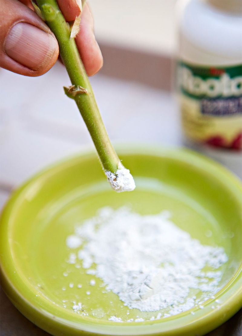 Utilizing Growth Hormones