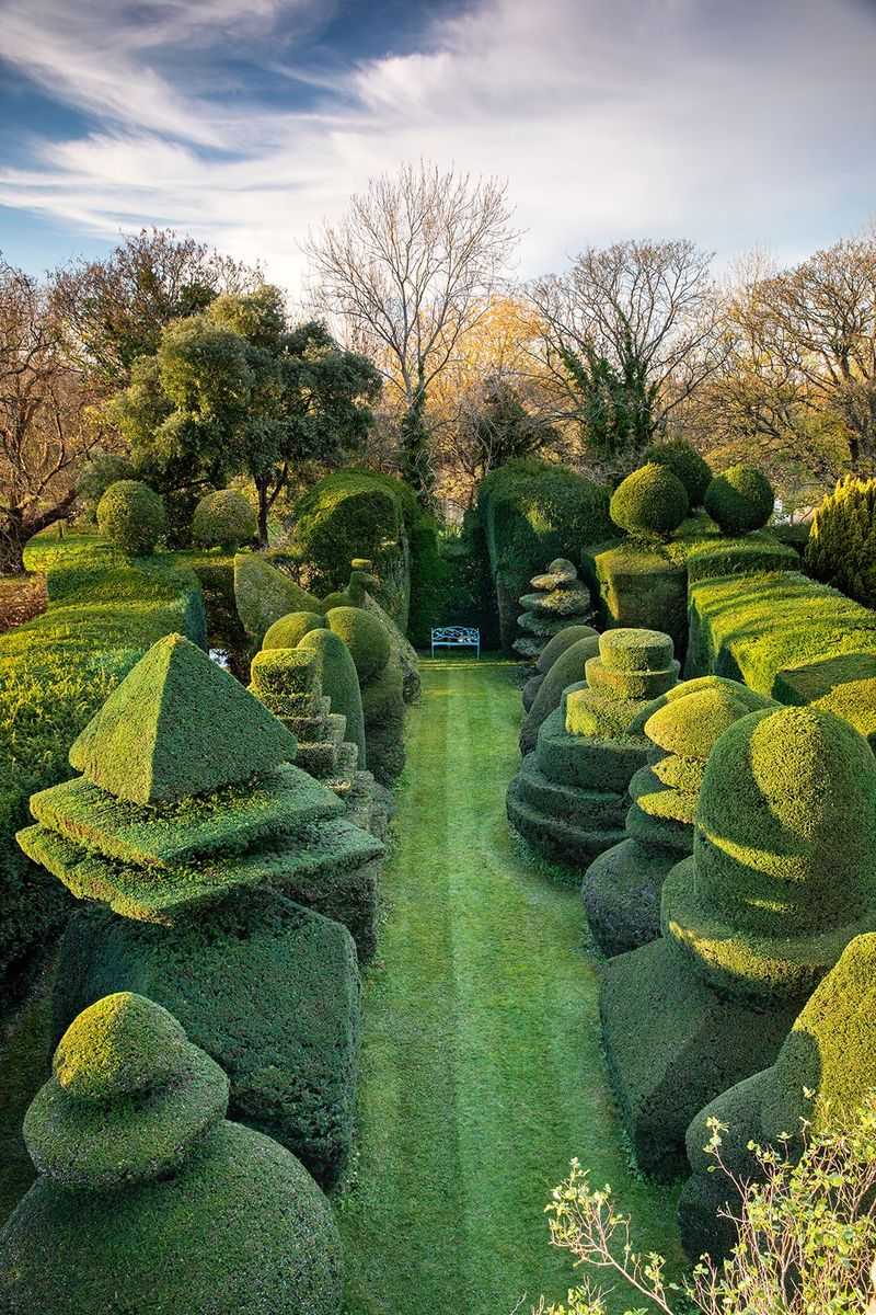 Harmonious Hedge Sculptures