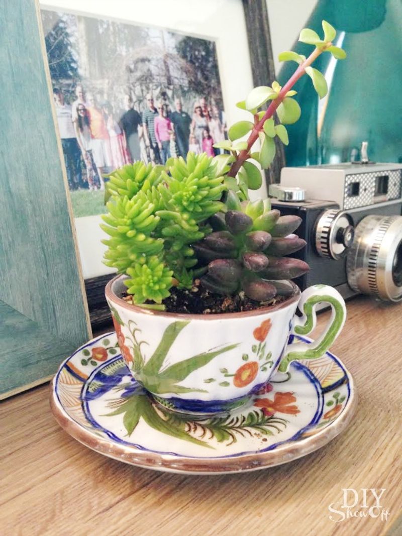 Teacup & Coffee Mug Planters