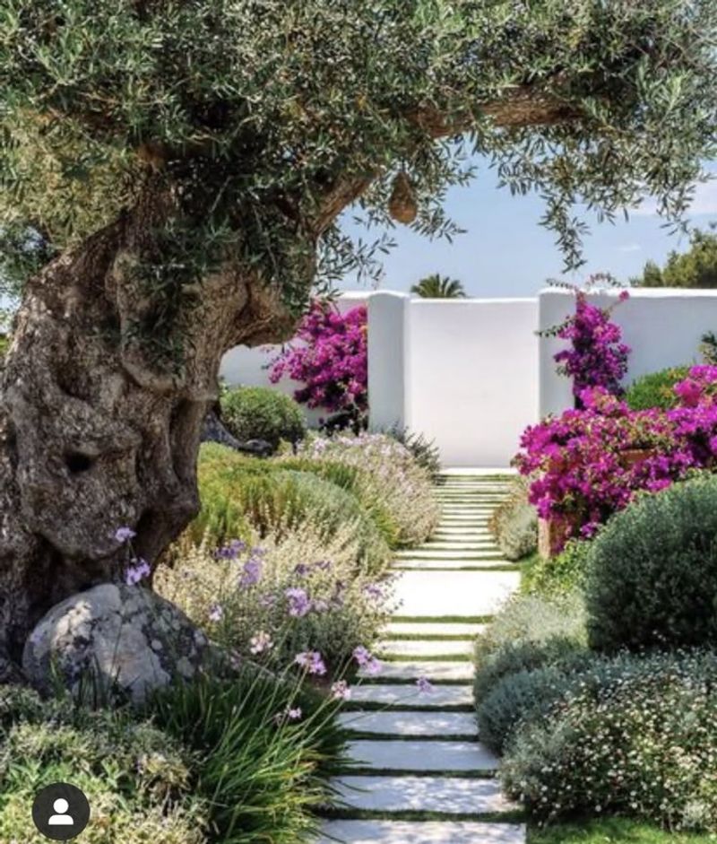 Mediterranean Escape