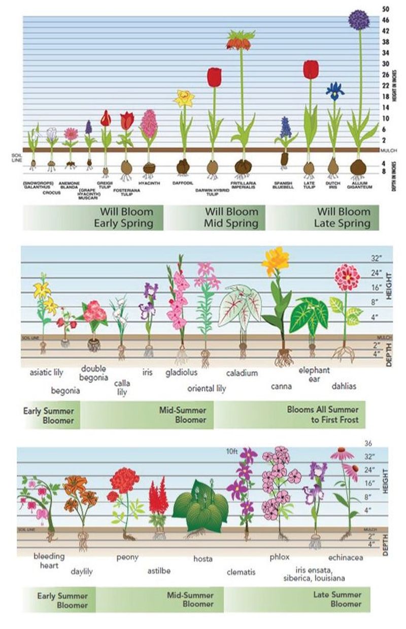 Establish a Blooming Calendar