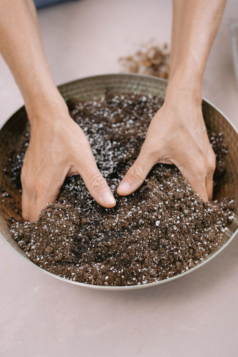 Choose the Right Seed-Starting Mix