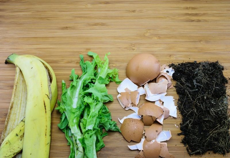 Use Homemade Fertilizer