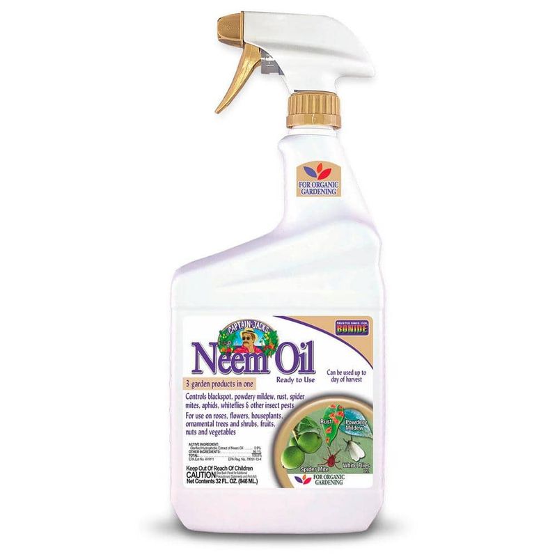 Try a Garlic or Neem Oil Spray