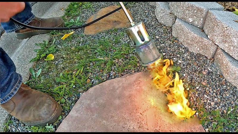 Flame Weeding