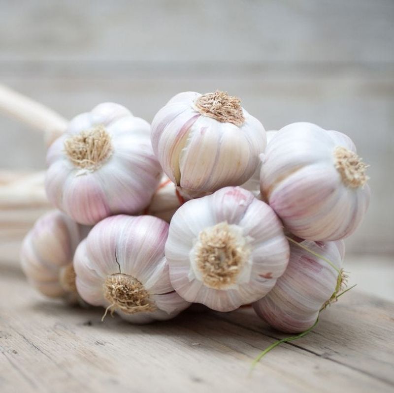 Storing Garlic Improperly