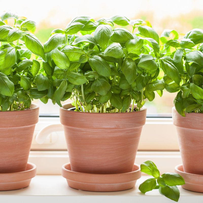 Select the Right Container