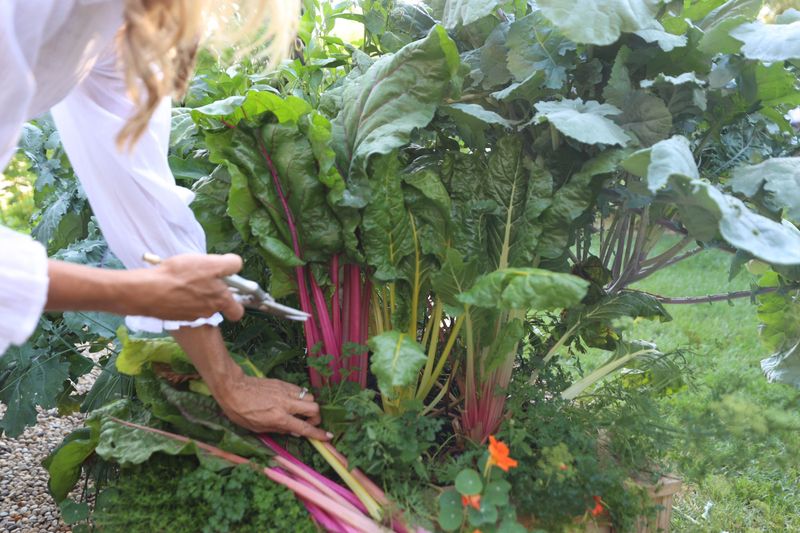 Practice Selective Pruning